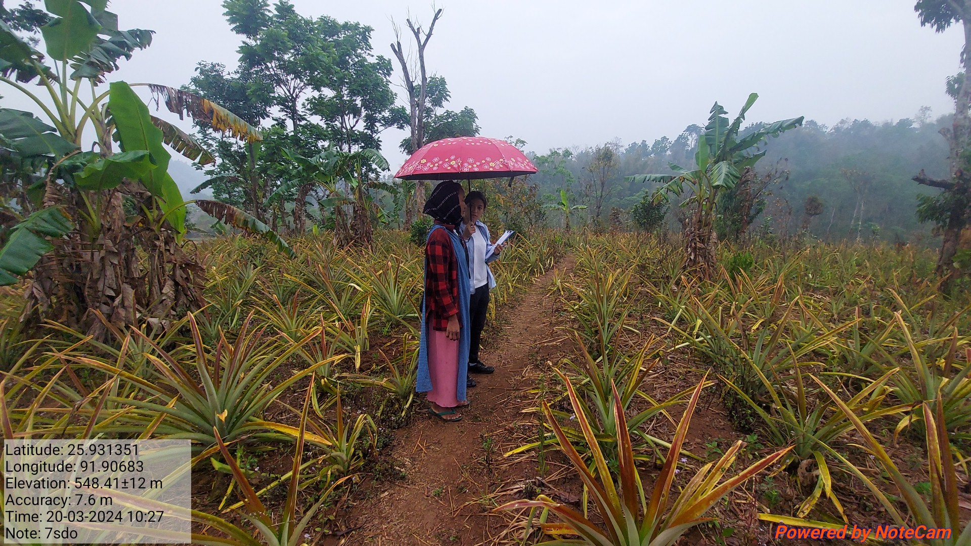 Mock Field inspection at Pahambirthem, Ri Bhoi District