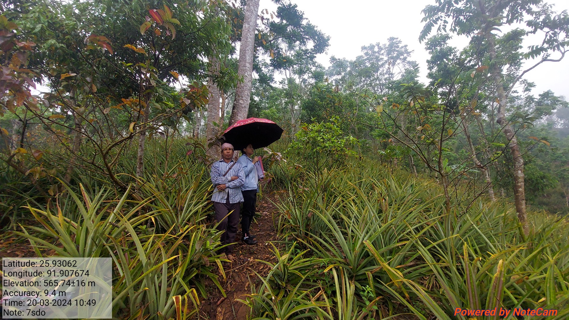 Field Inspection at Pahambirthem